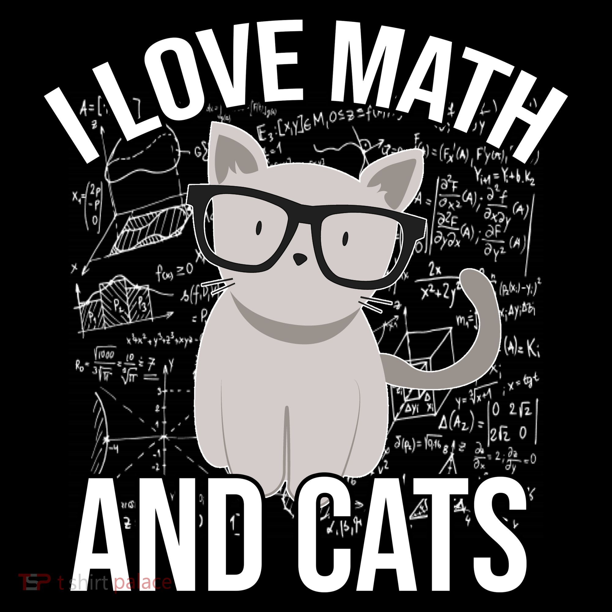 I Love Math And Cats Funny Women's Hoodie