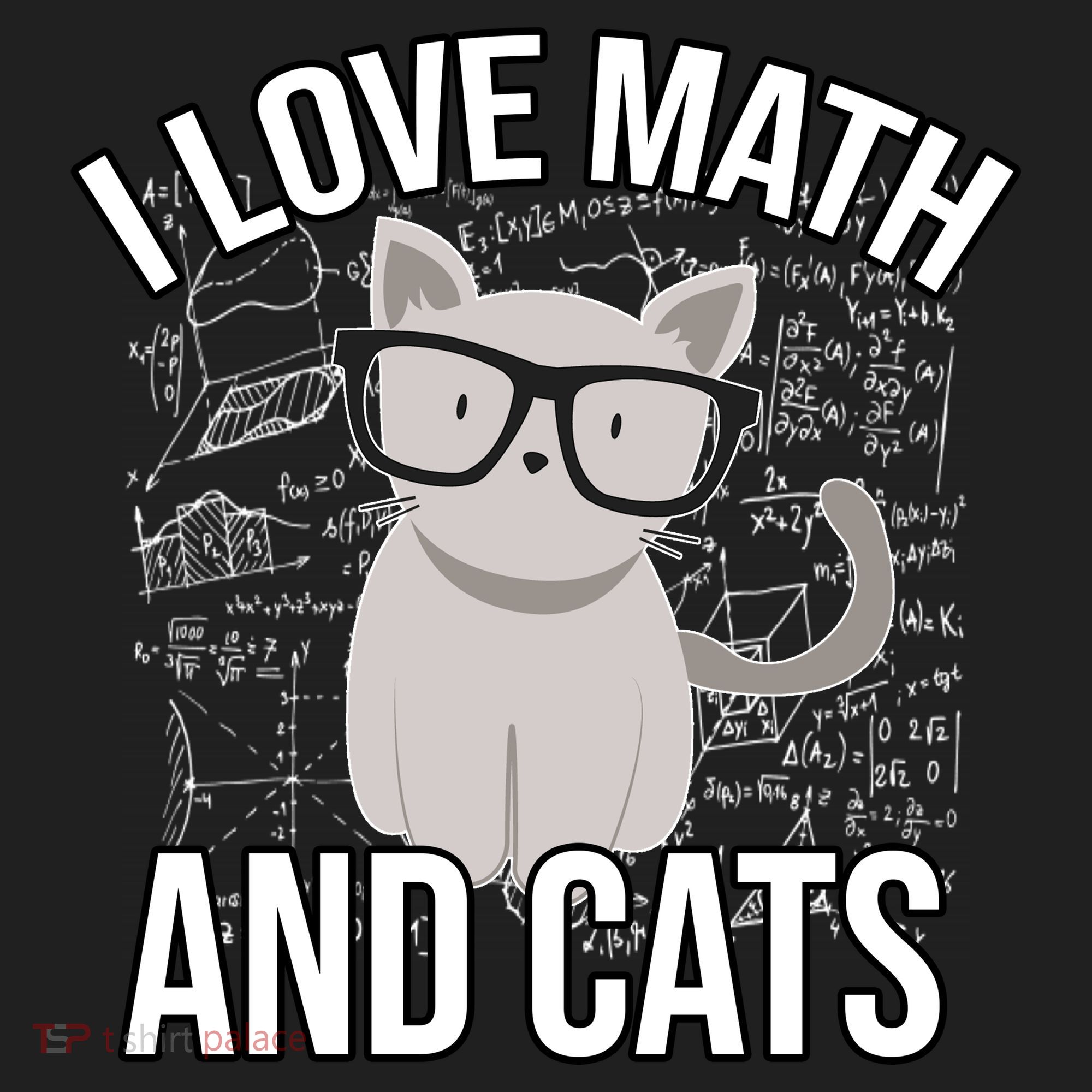 I Love Math And Cats Funny Hat