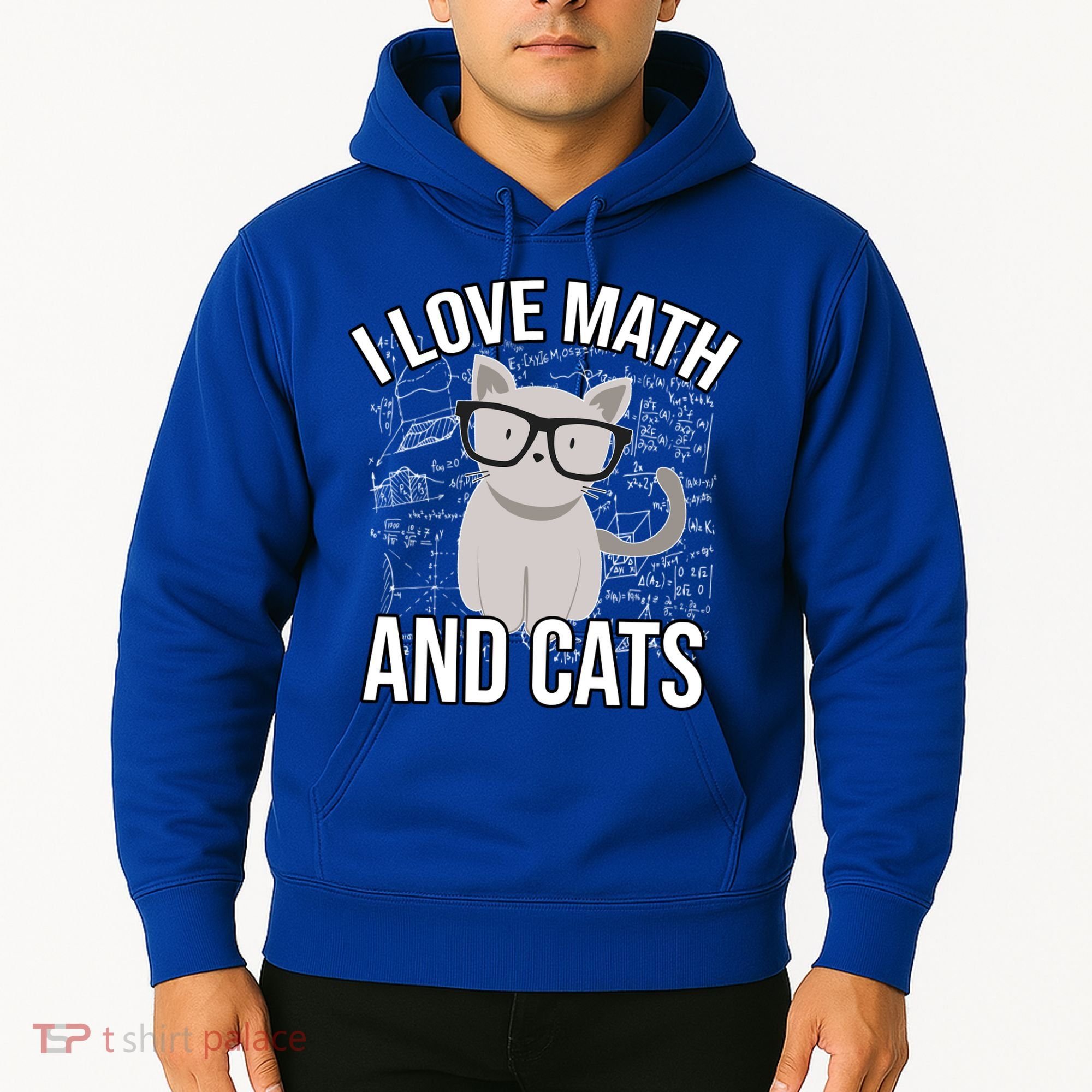 I Love Math And Cats Funny Hoodie