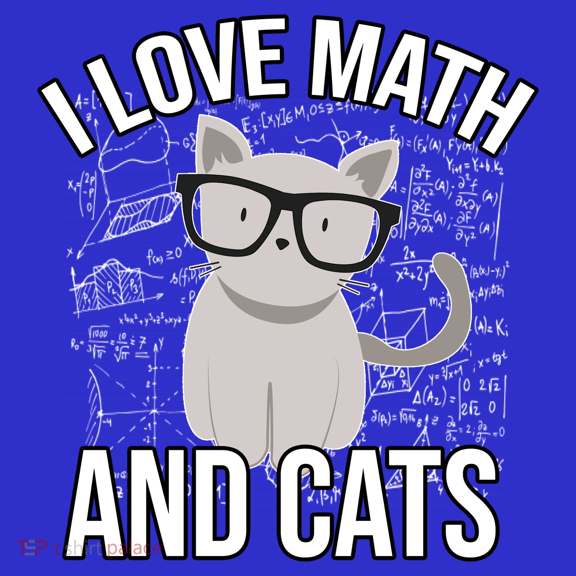 I Love Math And Cats Funny Visor
