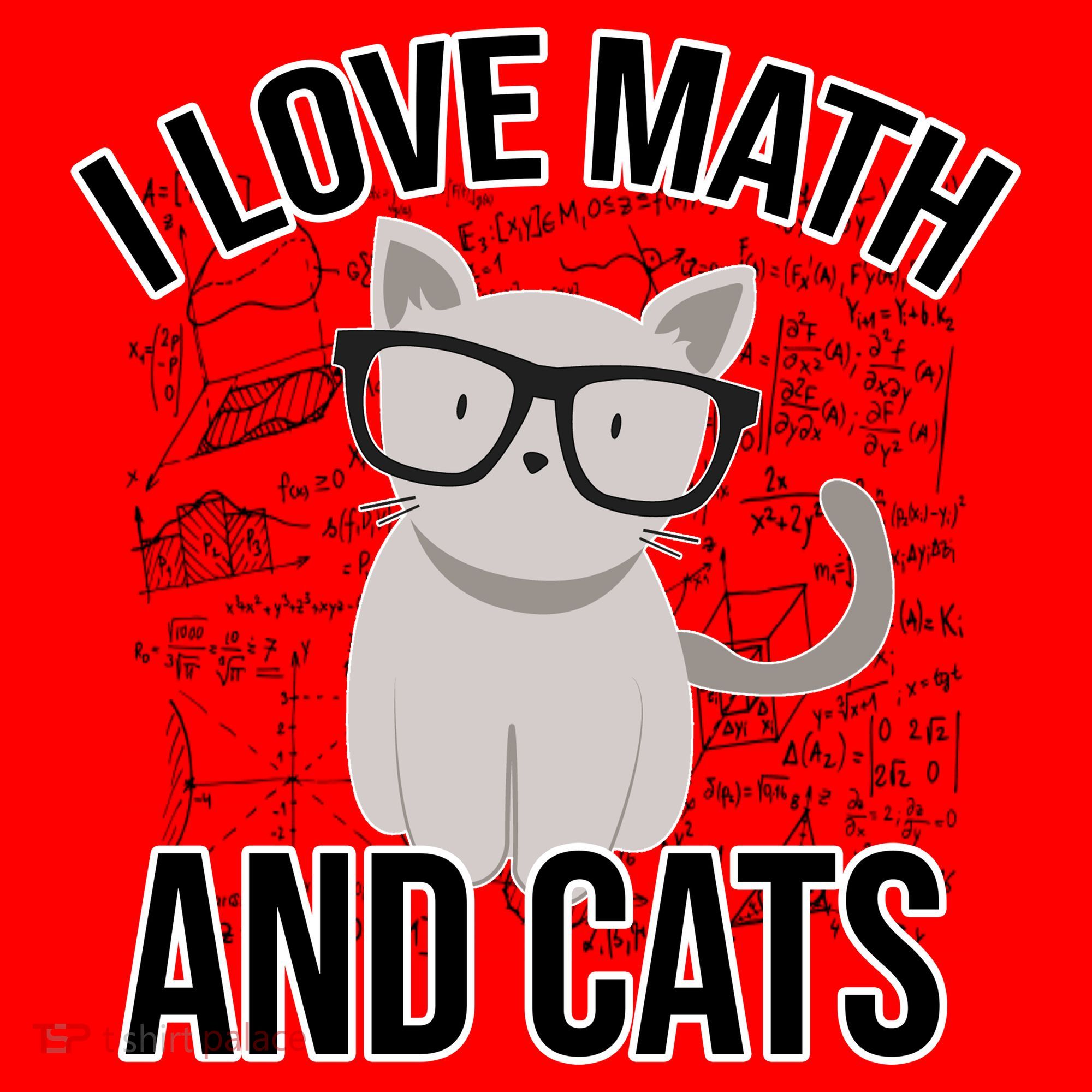 I Love Math And Cats Funny Santa Hat