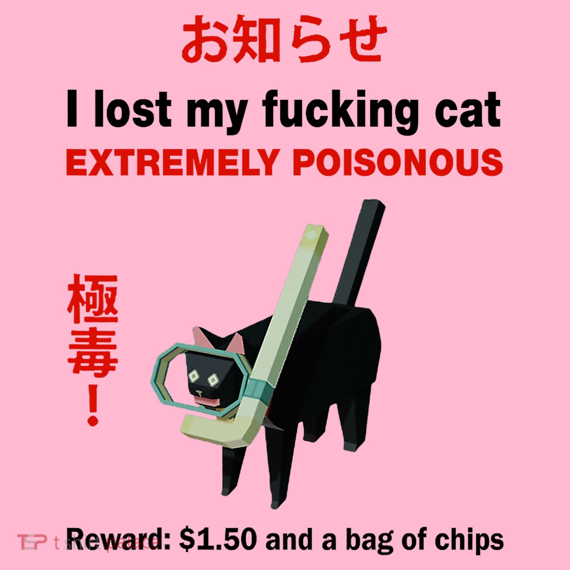 I Lost My Fucking Cat Extremely Poisonous Coaster