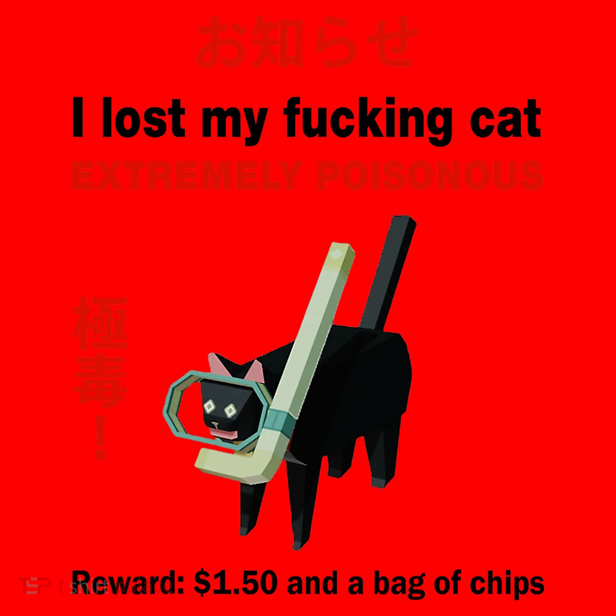 I Lost My Fucking Cat Extremely Poisonous Santa Hat