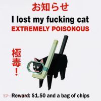 I Lost My Fucking Cat Extremely Poisonous Women's Hoodie thumb 2