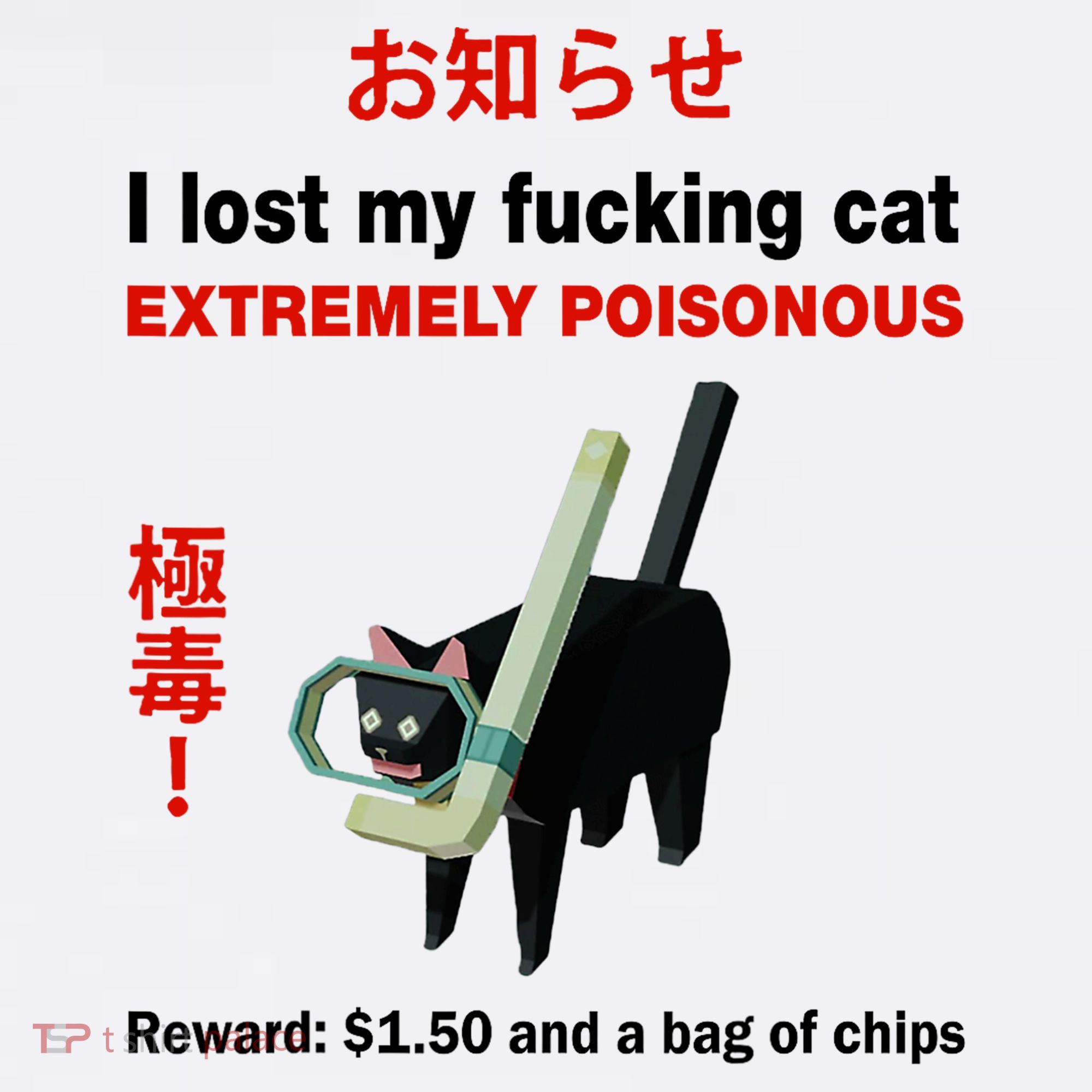 I Lost My Fucking Cat Extremely Poisonous Women's Hoodie