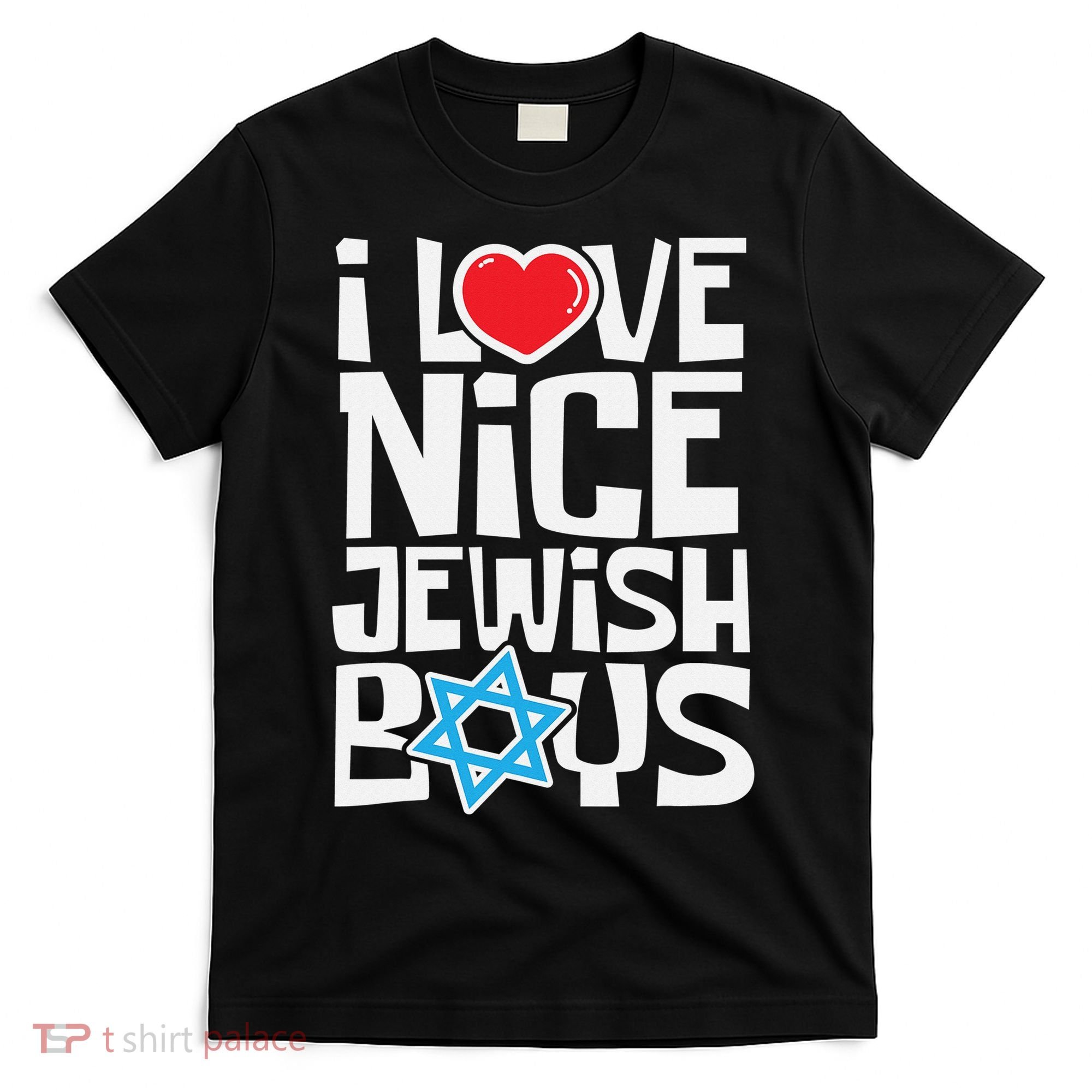 I Love Nice Jewish Boys Jews Hebrews Israelites Hanukkah  T-Shirt