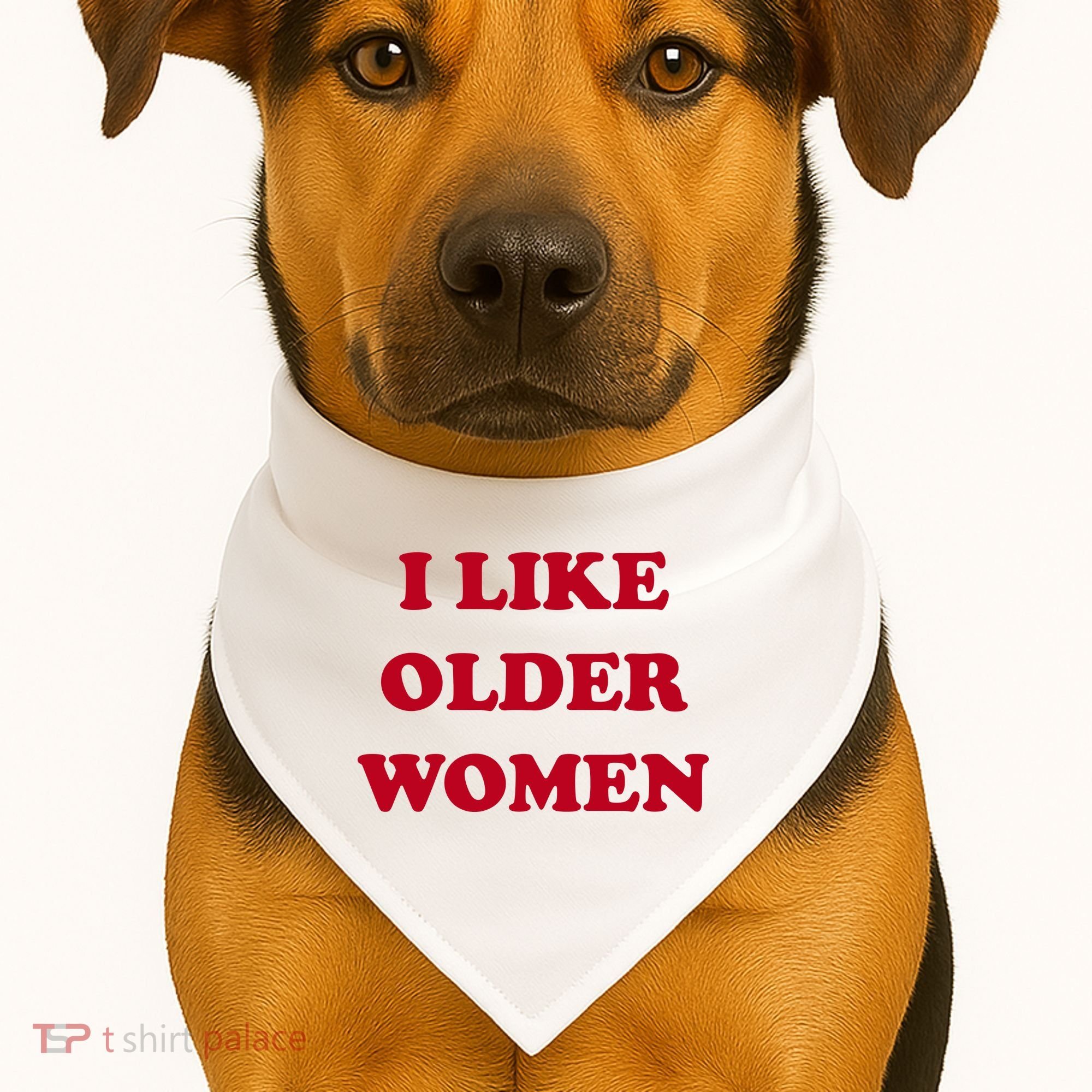 I Like Older Women USA-Made Doggie Bandana