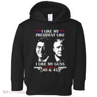 I Like President Like I Like My Guns 40 & 45 Toddler Hoodie thumb 0