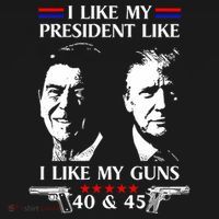 I Like President Like I Like My Guns 40 & 45 Toddler Hoodie thumb 2