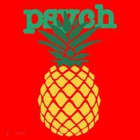I Love Psych Gus Nicknames Pineapple Awesome Harajuku Funny Santa Hat thumb 1