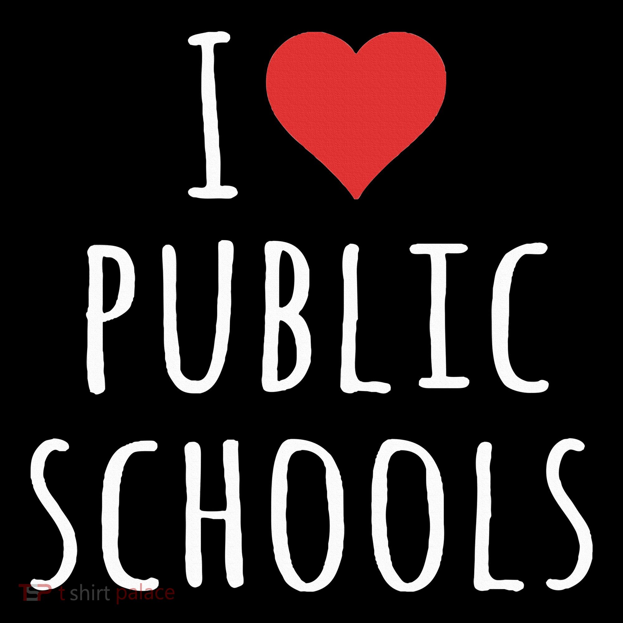 I Love Public Schools Hoodie