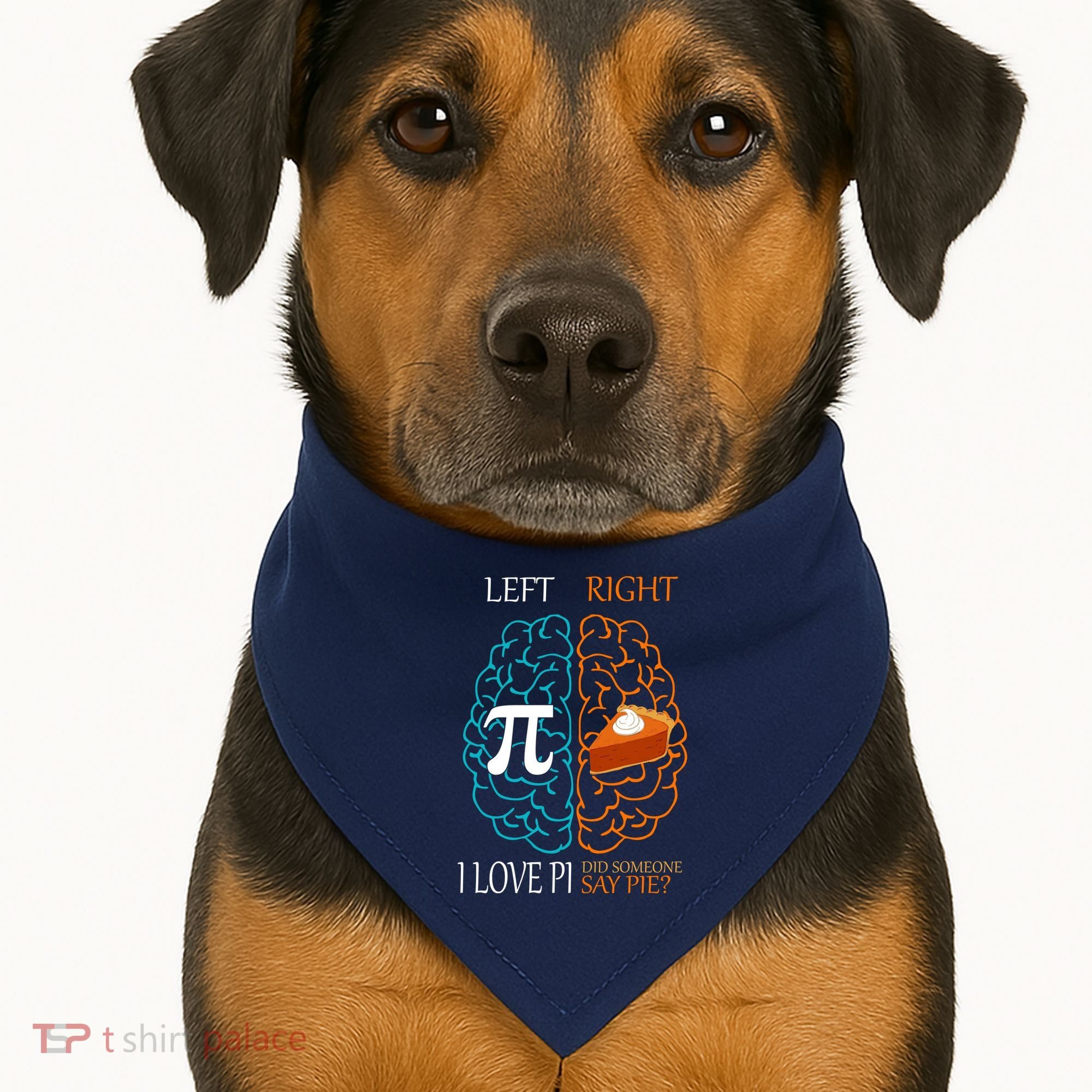 I Love Pi Did Someone Say Pie Brain Left Right USA-Made Doggie Bandana