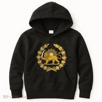 Iran Lion Sun Achaemenid Empire Safavid Dynasty Kids Hoodie thumb 0