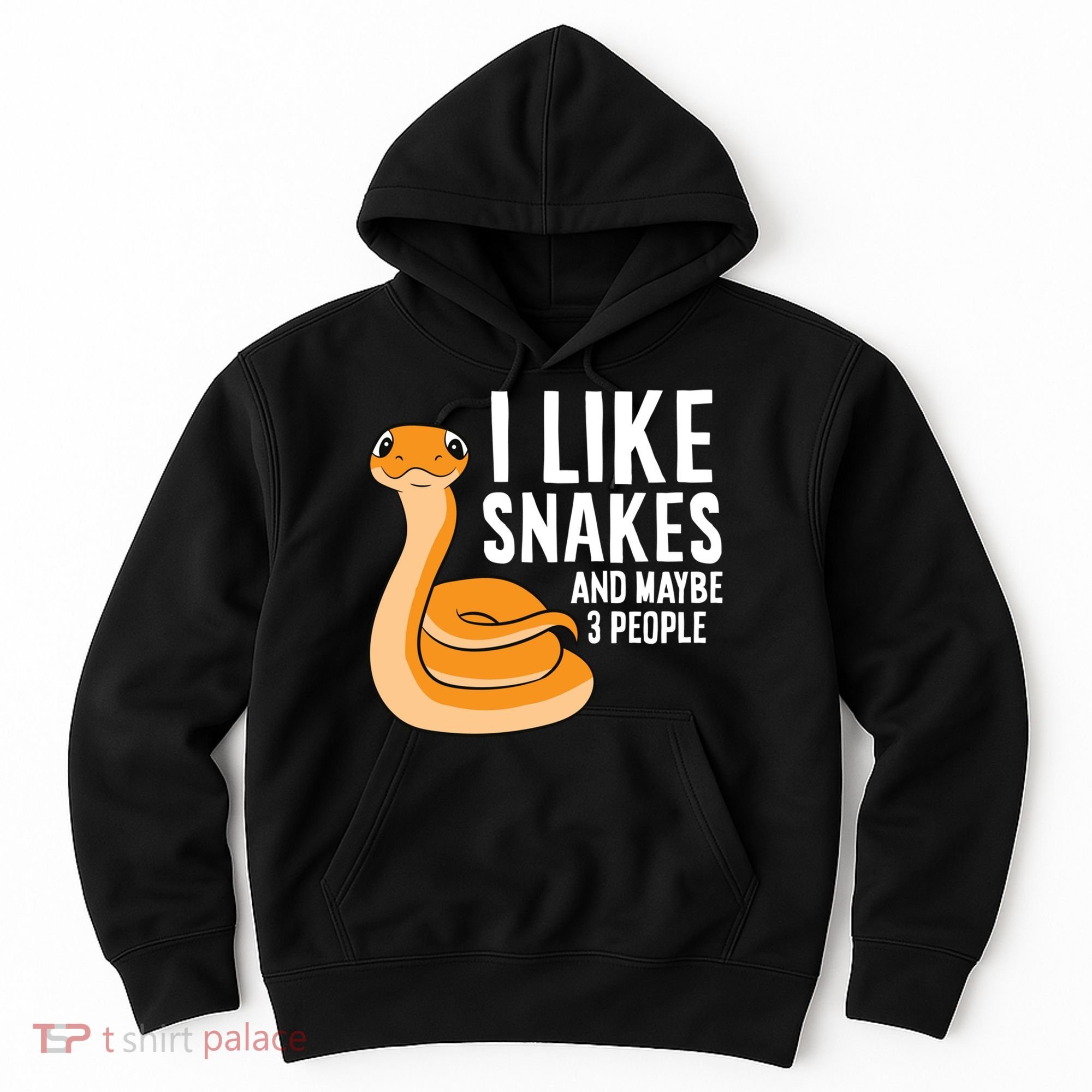 I Like Snakes And Maybe 3 People Snake Reptile Lover Cool Gift Hoodie