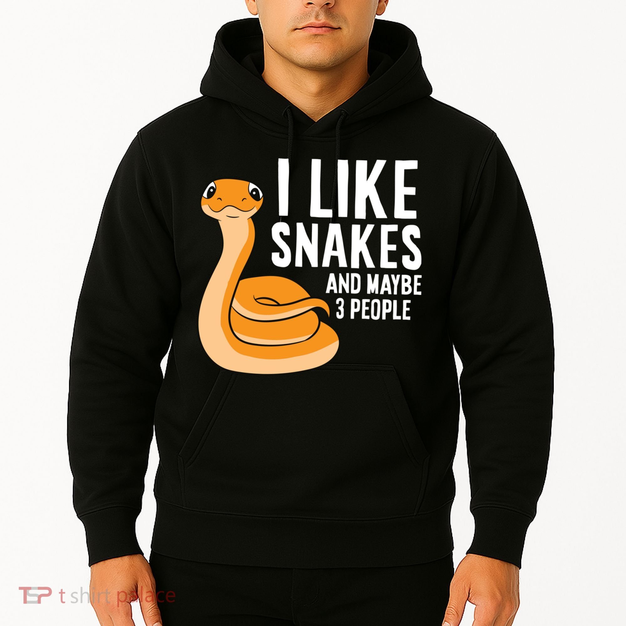 I Like Snakes And Maybe 3 People Snake Reptile Lover Cool Gift Hoodie