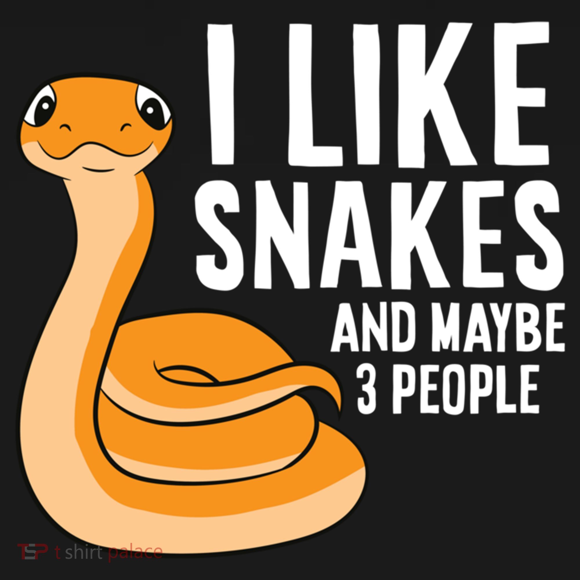 I Like Snakes And Maybe 3 People Snake Reptile Lover Cool Gift T-Shirt