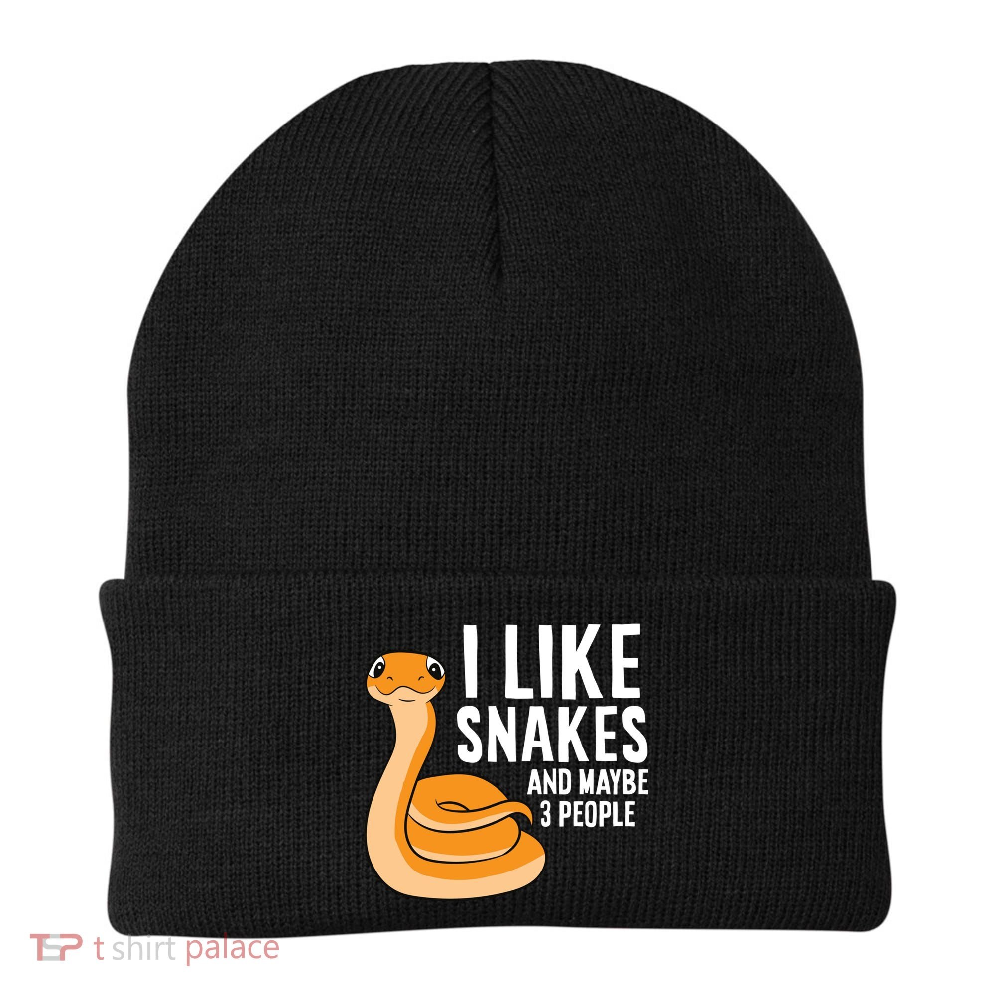 I Like Snakes And Maybe 3 People Snake Reptile Lover Cool Gift Beanie