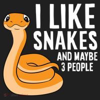 I Like Snakes And Maybe 3 People Snake Reptile Lover Cool Gift Beanie thumb 2