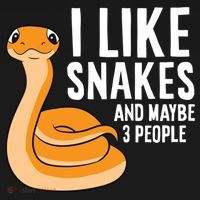 I Like Snakes And Maybe 3 People Snake Reptile Lover Cool Gift Women's Hoodie thumb 2