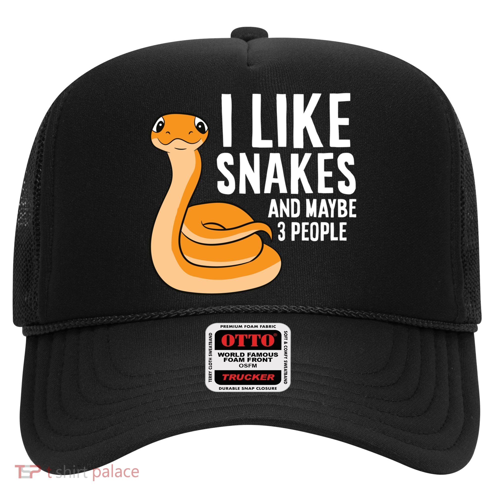 I Like Snakes And Maybe 3 People Snake Reptile Lover Cool Gift Hat