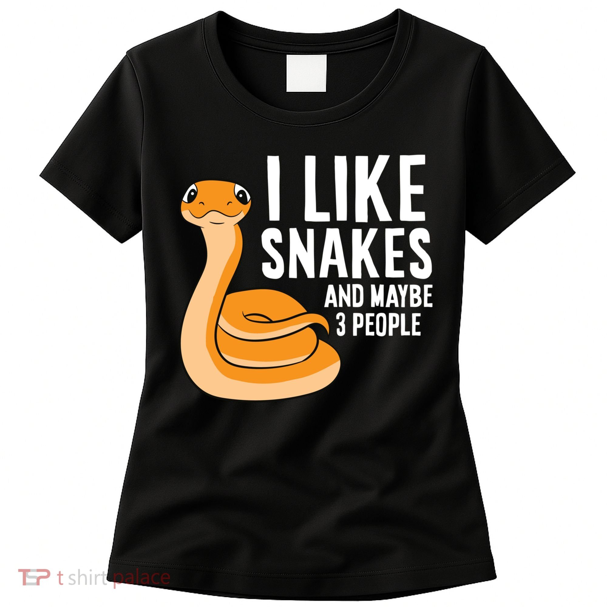 I Like Snakes And Maybe 3 People Snake Reptile Lover Cool Gift Women's T-Shirt