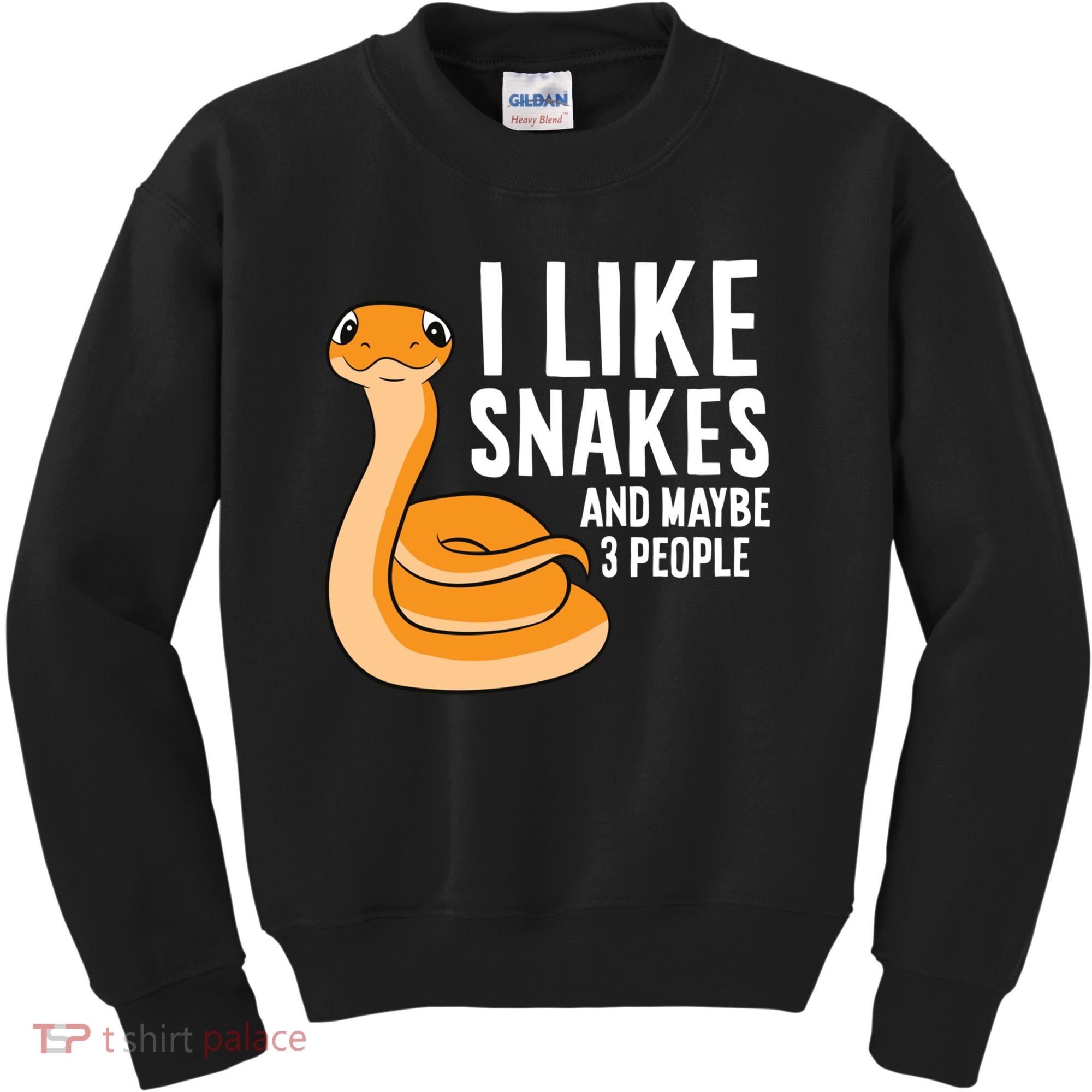 I Like Snakes And Maybe 3 People Snake Reptile Lover Cool Gift Kids Sweatshirt