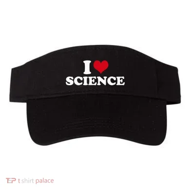 Visor