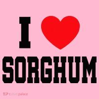 I Love Sorghum  Coaster thumb 2