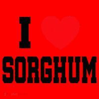 I Love Sorghum  Santa Hat thumb 1