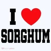 I Love Sorghum  Women's Tank Top thumb 5