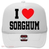 I Love Sorghum  Hat thumb 0