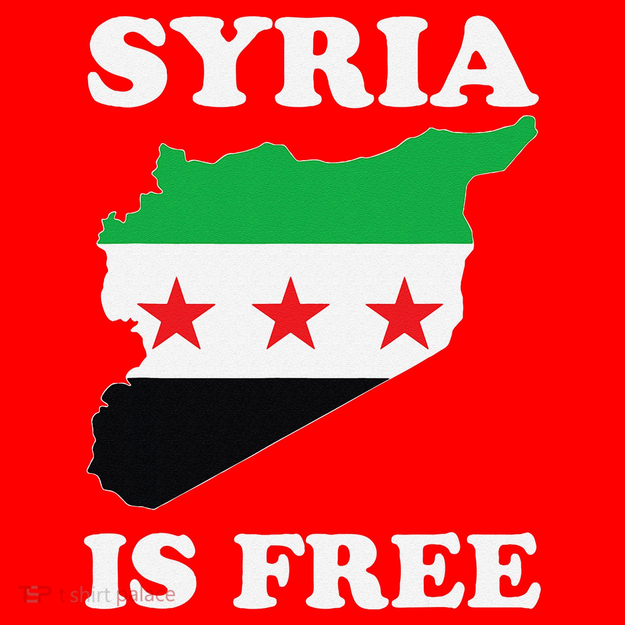 I Love Syria Is Free Syrian Map New Syrian Flag Santa Hat
