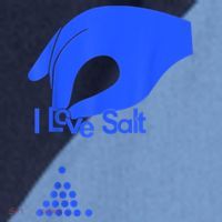 I Love Salt Tee Raglan Baseball Sleeve Shirt thumb 2