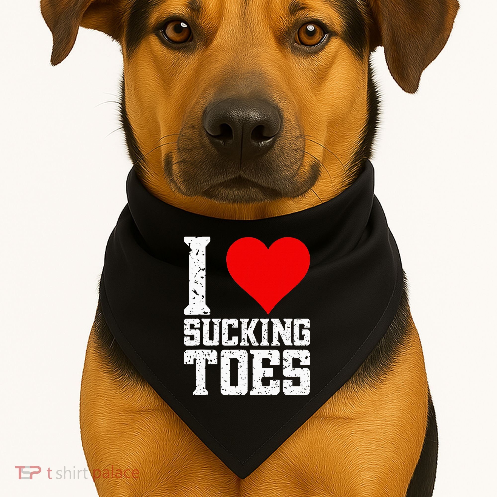 I Love Sucking Toes Funny Embarrassing Funny Airport USA-Made Doggie Bandana