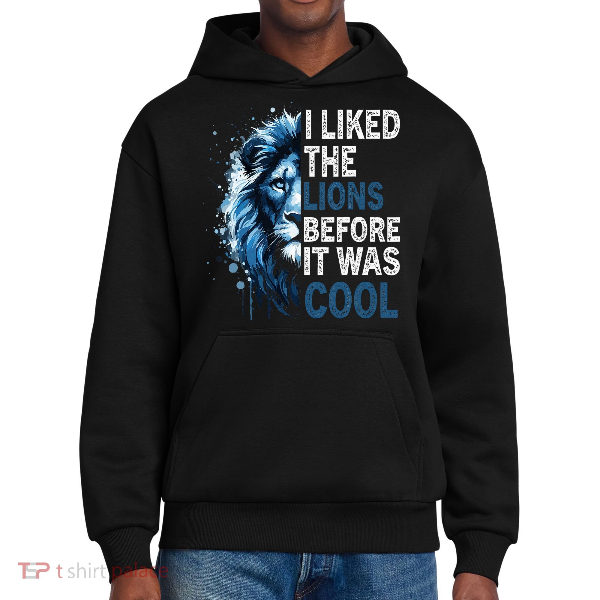 I Liked The Lions Before It Was Cool District V.I.T. Heavyweight Hoodie