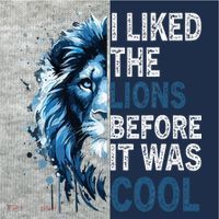 I Liked The Lions Before It Was Cool Kids Colorblock Raglan Jersey thumb 2