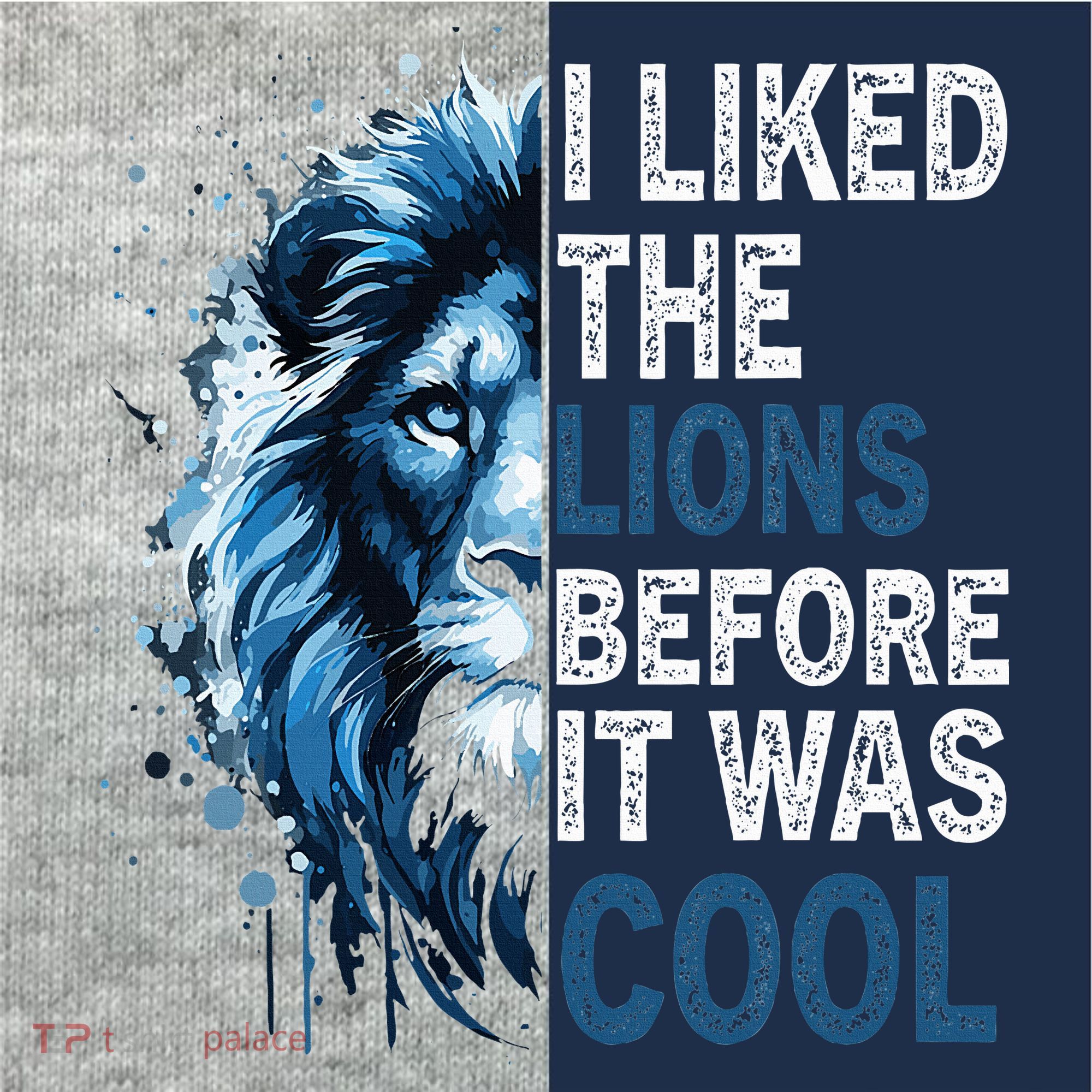 I Liked The Lions Before It Was Cool Kids Colorblock Raglan Jersey