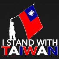 I Love Taiwan Flag Taiwanese Pride I Stand With Taiwan China Gift Women's Hoodie thumb 2