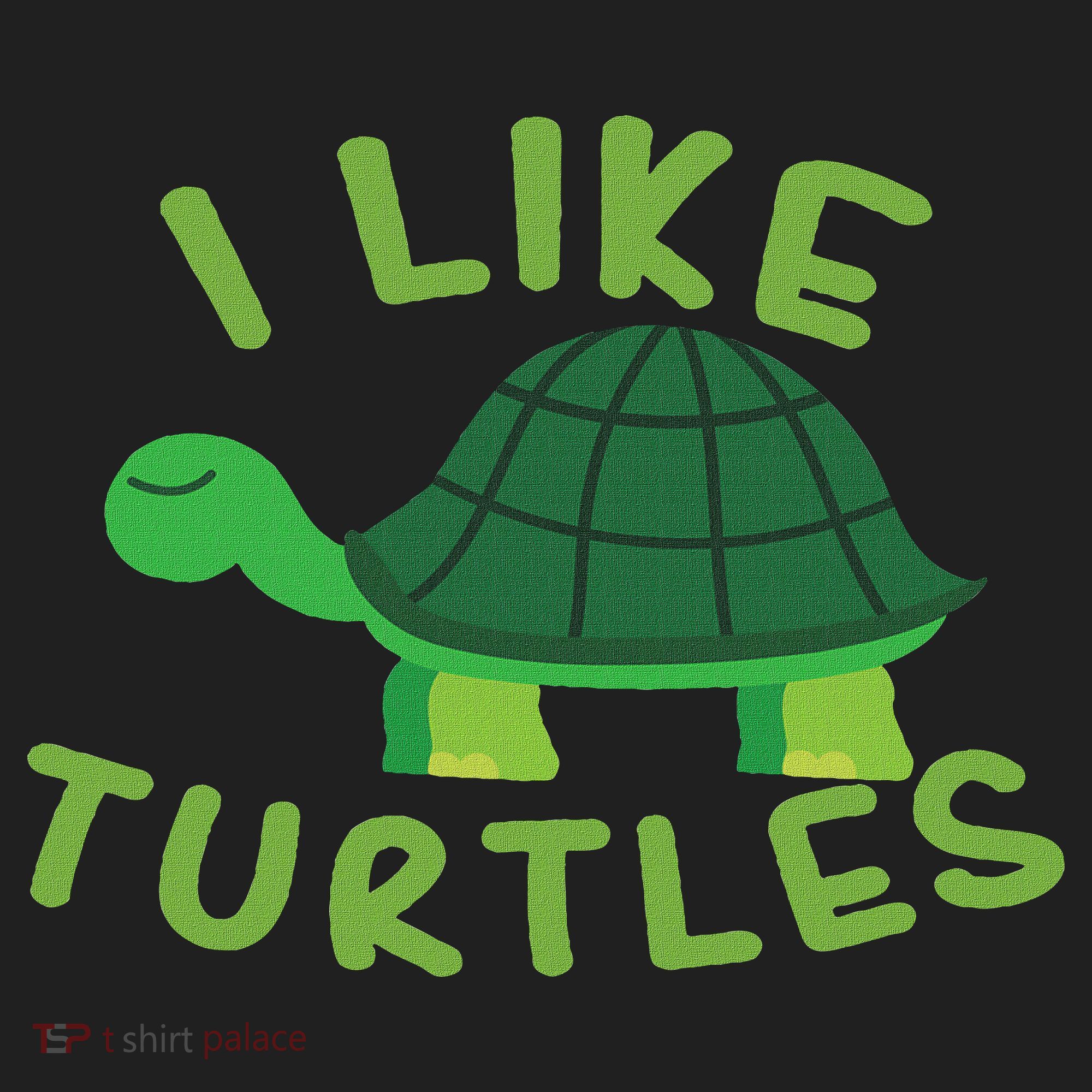 I Like Turtles Tortoise Sea Animal Funny Gift Beanie