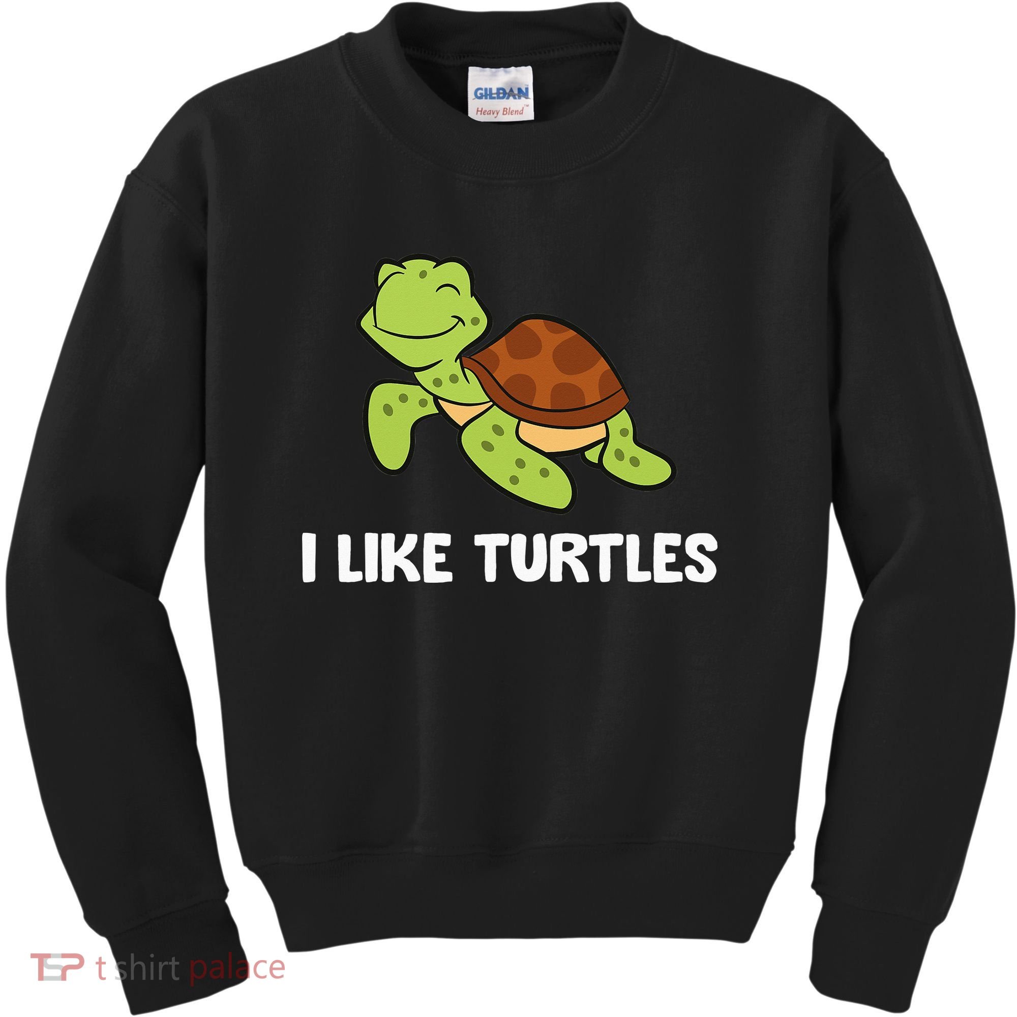 I Like Turtles Reptile Funny Sea Turtle Kids Sweatshirt