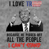 I Love Trump Because He Pisses Off All The People I Can’T Stand Funny T-Shirt thumb 7