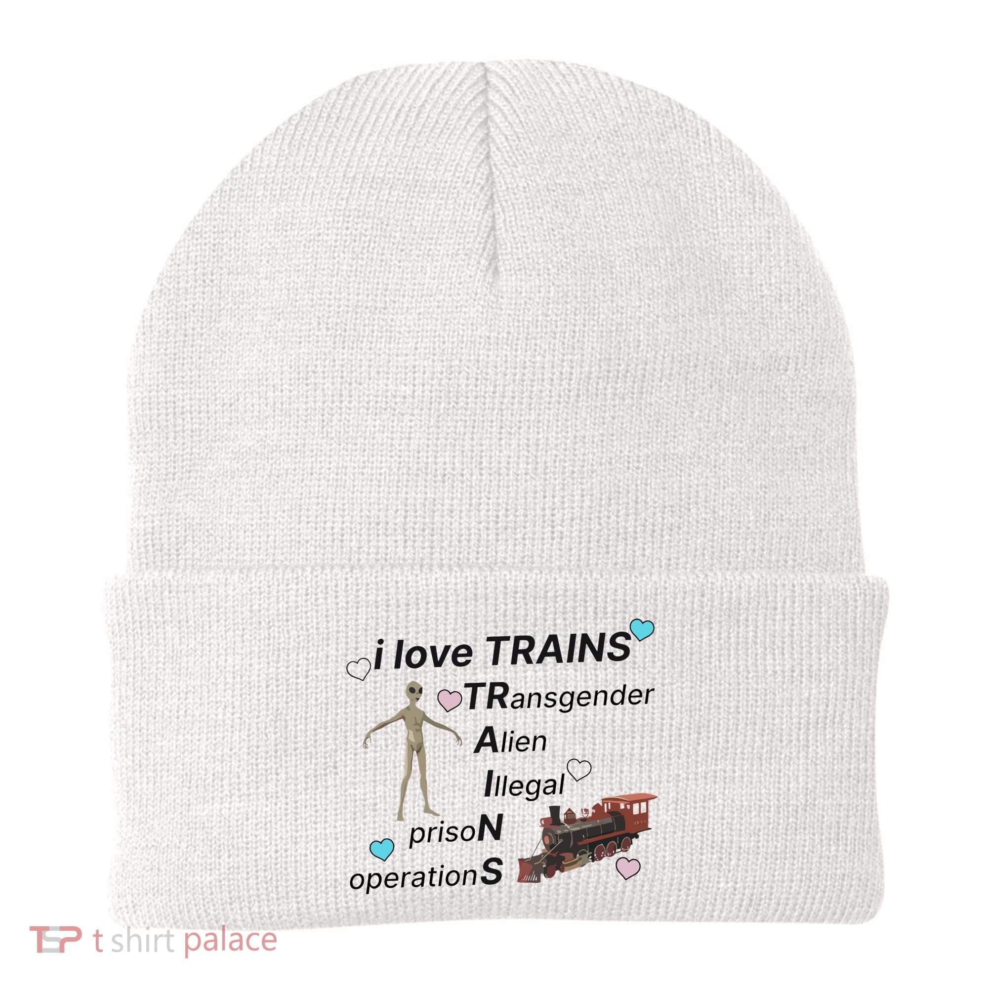 I Love Trains Alien Illegal Prison Operations Beanie