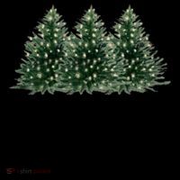 I Like Them Real Thick And Sprucy Chirtsmas Coffee Mug thumb 5