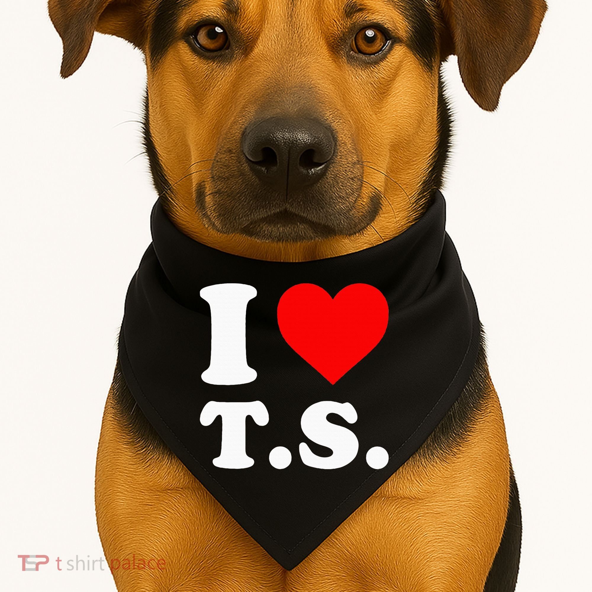 I Love T.S I Heart T.S USA-Made Doggie Bandana
