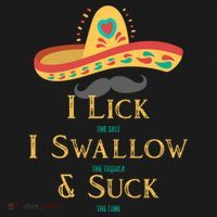 I Lick The Salt Swallow The Tequila And Suck The Lime Cool Gift Ornament thumb 1