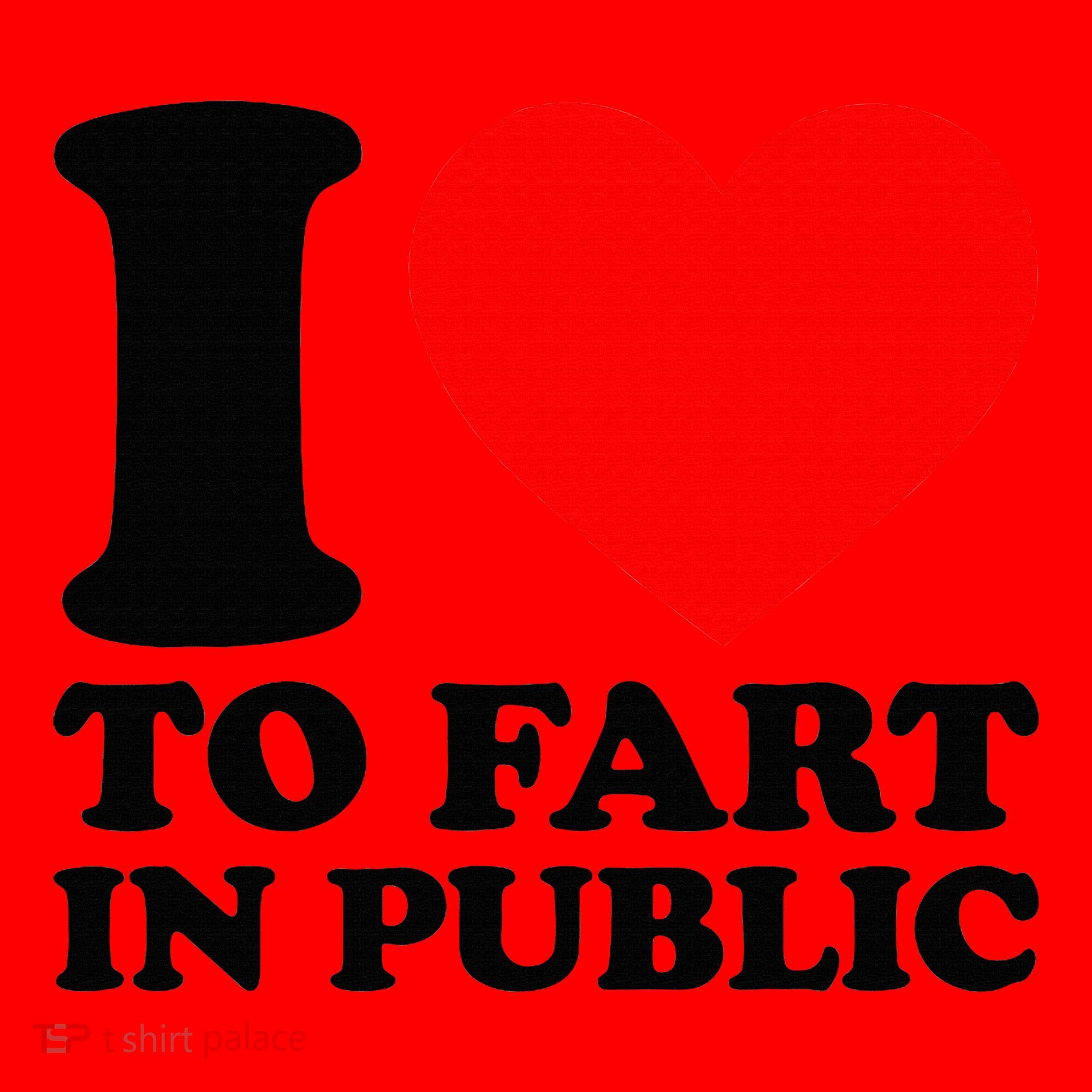 I Love To Fart In Public Santa Hat