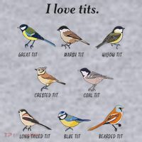 I Love Tits Birdwatching Bird Lover Gift Women's Sweatshirt thumb 2