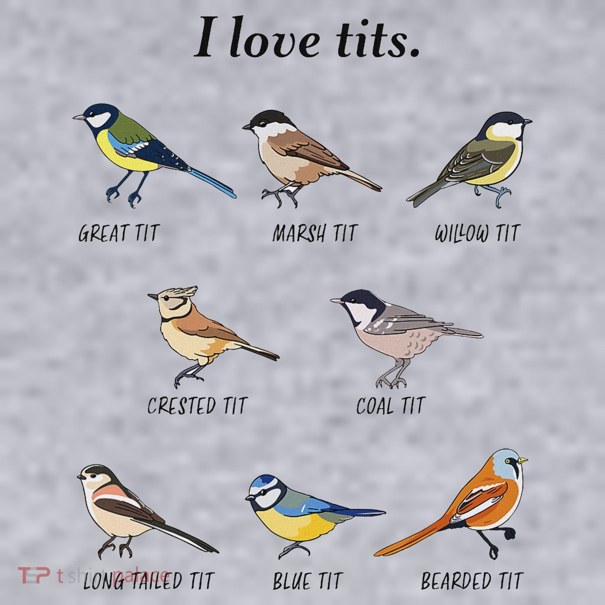 I Love Tits Birdwatching Bird Lover Gift Women's Sweatshirt