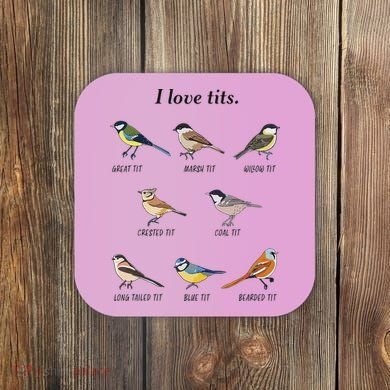 I Love Tits Birdwatching Bird Lover Gift Coaster