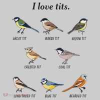 I Love Tits Birdwatching Bird Lover Gift Kids Tie-Dye T-Shirt thumb 3
